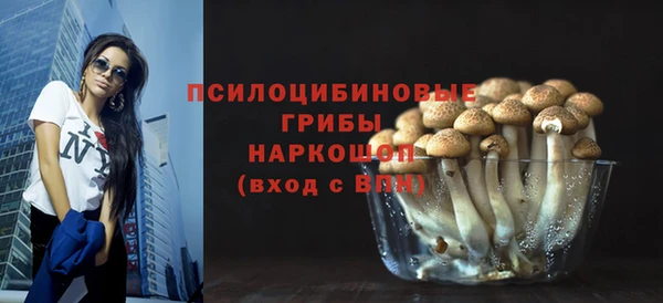 индика Алексин