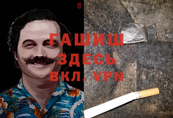 индика Алексин