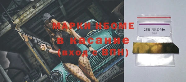 индика Алексин